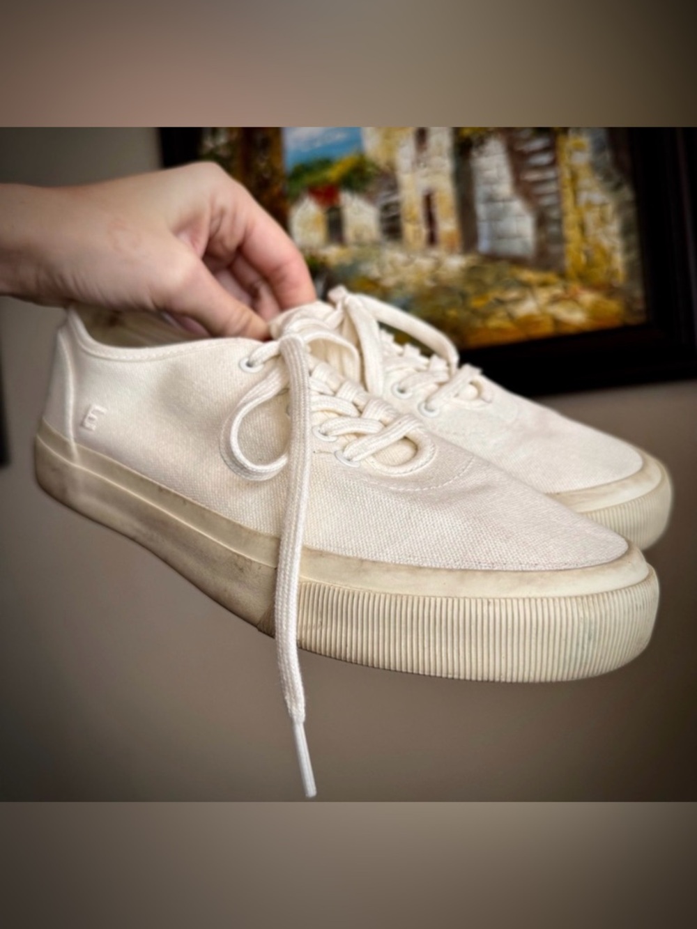 Everlane White The Forever Canvas Sneakers Tennis Shoes 8